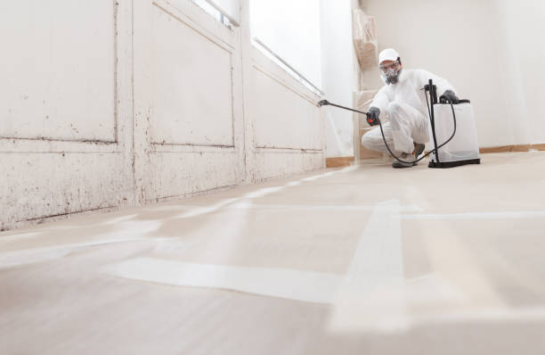 24/7 Emergency Commercial Mold Remediation experts in Central City, KY
